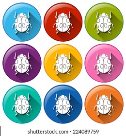 Illustration of the round icons with bugs on a white background 