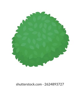 Illustration of a round shrub used in urban greenery