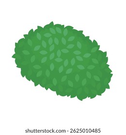 Illustration of a round shrub used in urban greenery