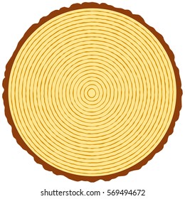 Illustration of the round wood section
