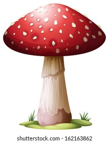 Illustration of a Royal Agarics on a white background