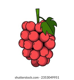 An Illustration Of Ruby Roman Grape