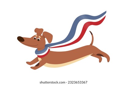 Illustration of a running dachshund with a scarf in the colors of France flag around his neck waving in the wind