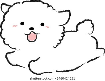 Illustration of a running dog Bichon Frize