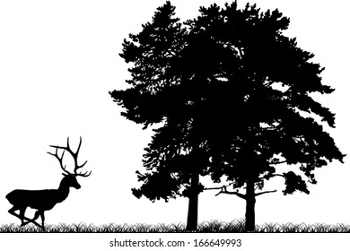 Illustration mit Laufen zu Waldhirschen einzeln auf weißem Hintergrund