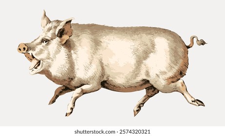 Illustration of a running pig, vintage style. The pig is depicted in motion, showcasing its legs and ears. The pig's detailed features highlight its dynamic pose. Vintage art vector element.