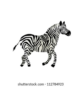 Illustration of a running zebra over white background