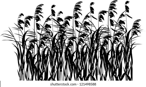 illustration with rush silhouettes isolated on white background