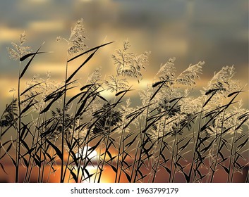 illustration with rush silhouettes at sunset