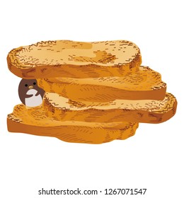 Illustration of the rusk