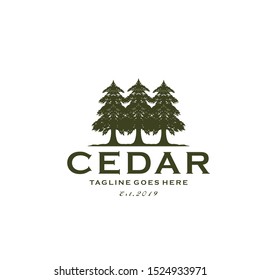 Illustration Rustic Retro Vintage Evergreen, Pines, Spruce, Cedar trees logo design