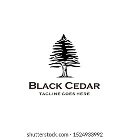 Illustration Rustic Retro Vintage Evergreen, Pines, Spruce, Cedar trees logo design