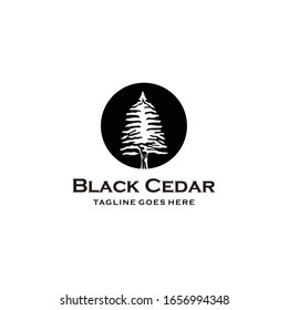 Illustration Rustic Retro Vintage Evergreen, Pines, Spruce, Cedar trees logo design