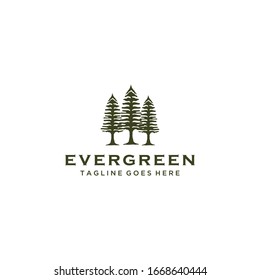 Illustration Rustic Retro Vintage Evergreen, Pines, Spruce, Cedar trees logo design.