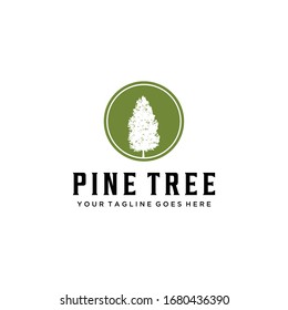 Illustration of Rustic Retro Vintage Evergreen, Pines, Spruce, Cedar trees logo design.