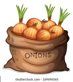 Illustration of a sack of onion on a white background