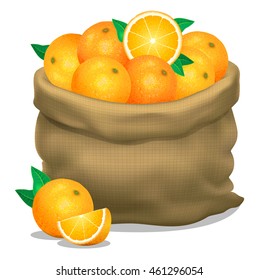 Illustration of a sack of oranges on a white background. Vector icon