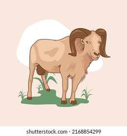 Illustration sacrifical animal or qurban animal to celebrate eid al adha. Can be used for websites, banners, posters, flyers. Qurban Animals Collection with Illustration of Goat