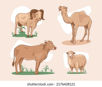 Illustration sacrifical animal or qurban animal to celebrate eid al adha. Can be used for websites, banners, posters, flyers. Qurban Animals Collection with Illustration of Sheep, Cow, Goat, and Camel