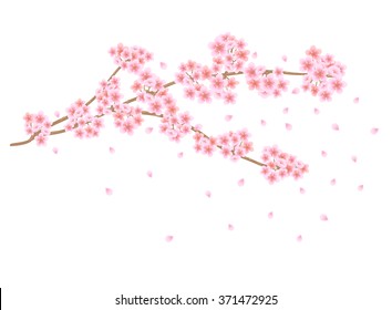 舞い散る桜 のイラスト素材 画像 ベクター画像 Shutterstock