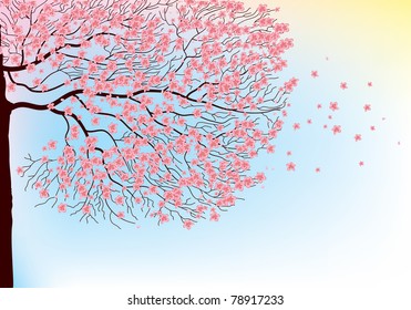 Illustration of sakura branches.