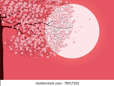 Illustration of sakura branches.Vector beautiful background