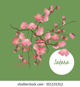 illustration sakura flower/Spring sakura flower/Greeting card sakura/Summer composition sakura/Spring sakura flower/Garden sakura flower/Beautiful sakura flower/Delicate sakura