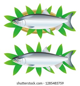 Illustration of the salmon