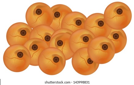 Illustration of the salmon eggs