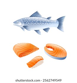 Illustration of salmon, salmon fillet, salmon steak and salmon sushi in realistic 2d style.