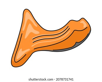 Illustration of salmon sickle fillet (with border).