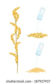 An Illustration of Salt Being Sprinkled on Boiled Soybean or Edamame, A Delicious Snack with A Nutritional Punch. 