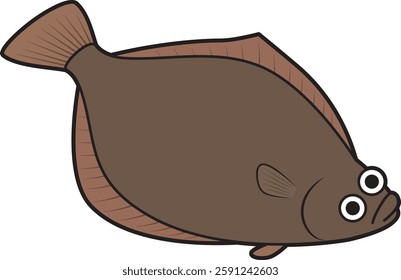 Illustration of saltwater fish flounder