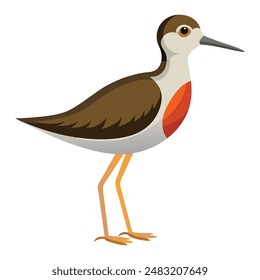 illustration of a sandpipe animal on white