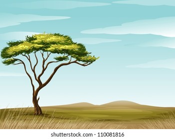 Illustration Of A Savannah Landscape