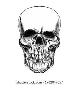 Illustration of scary skull. Design element for poster, card, banner, t shirt. Vector illustration