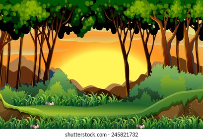Illustration of a scene of a forest at sunset