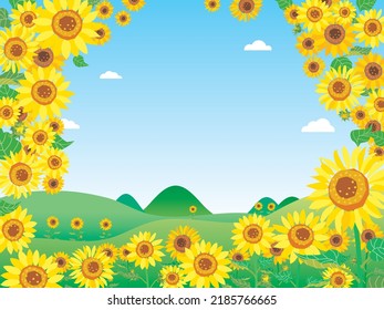 Illustration of the scenery of the summer sunflower field.