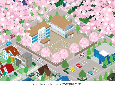 Illustration of a school building in spring with cherry blossoms in bloom. Isometric drawing.