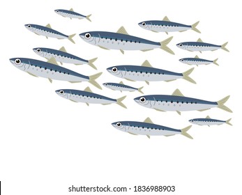 Illustration of a school of sardines