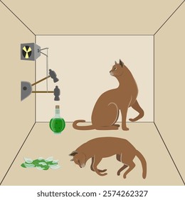 Illustration of Schrodinger's cat: the concept of quantum mechanics demonstrating the paradox of a living and dead cat in a box, with a radioactive element, a hammer, and a poison flask.