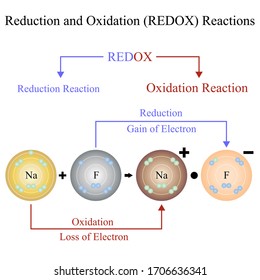 611 Redox Images, Stock Photos & Vectors | Shutterstock