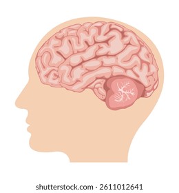 Illustration of scientific design scheme, human brain side view