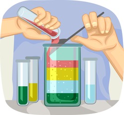Illustration Of A Scientific Experiment Demonstrating The Different Densities Of Liquids