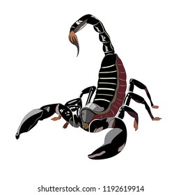 illustration of a scorpion