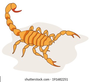 Illustration of scorpion arachnid insect. Ideal for etymology and educational materials