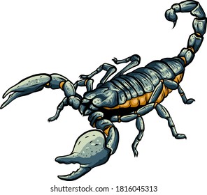 Illustration of scorpion arachnid insect. vector graphics