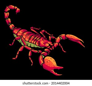 Illustration of scorpion arachnid insect. vector graphics