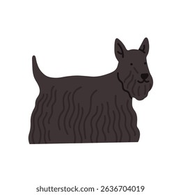 Ilustração de Scotch terrier cão de pé. Pode ser usado para materiais de marketing relacionados a animais de estimação, conteúdo educacional sobre raças, impressões, cartões etc. Ilustração vetorial isolada sobre fundo branco.