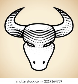 Illustration of Scratchboard Engraved Bull Front View with White Fill isolated on a Beige Background